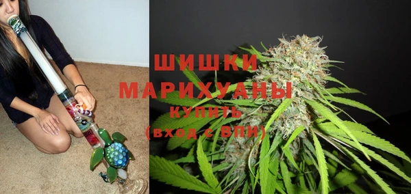 крисы Козловка