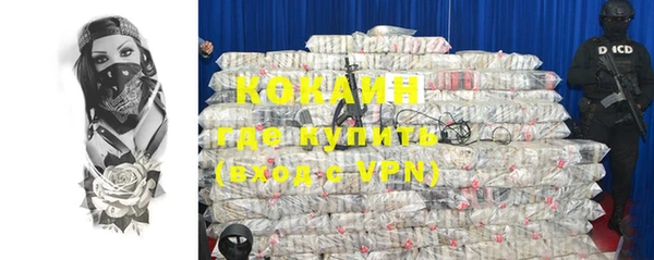 шишки Баксан